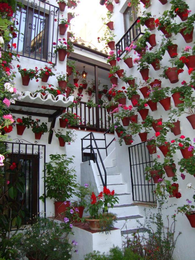 El Balcon De La Juderia Lejlighed Córdoba Eksteriør billede